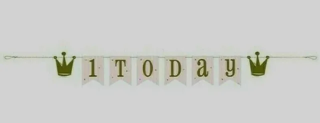 Gold Pastel Happy 1st Birthday Banner Boy Girl Party Bunting Garland  Decorations