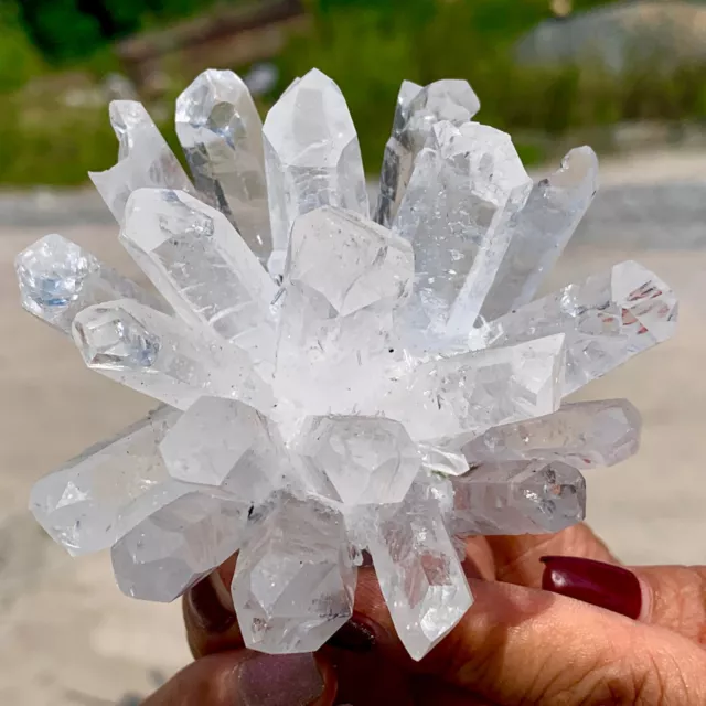 264G  New Find Green Phantom Quartz Crystal Cluster Mineral Specimen