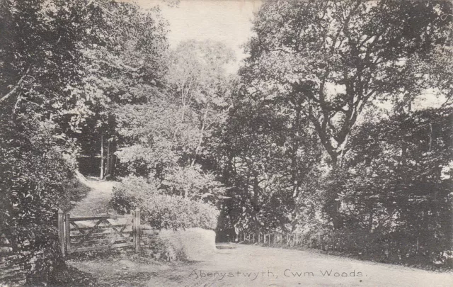 Cwm Woods, ABERYSTWYTH, Cardiganshire