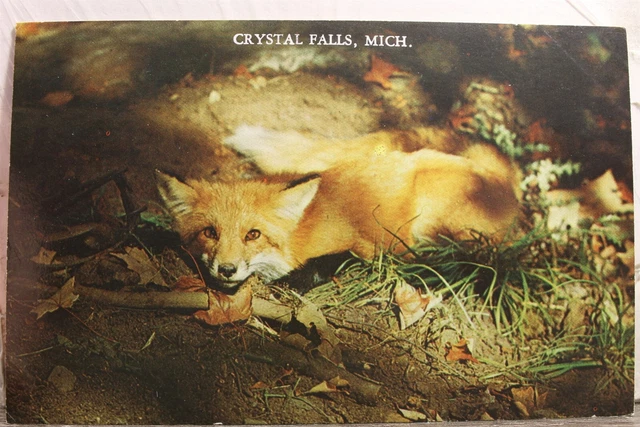 Michigan MI Crystal Falls Postcard Old Vintage Card View Standard Souvenir Post
