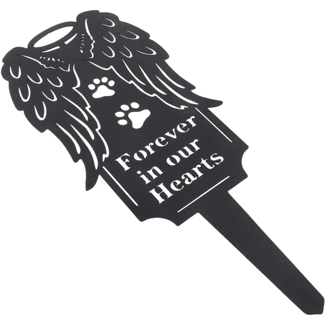 Segnali Di Allarme Del Cancro Negli Animali Domestici - Clinica - Foto 2