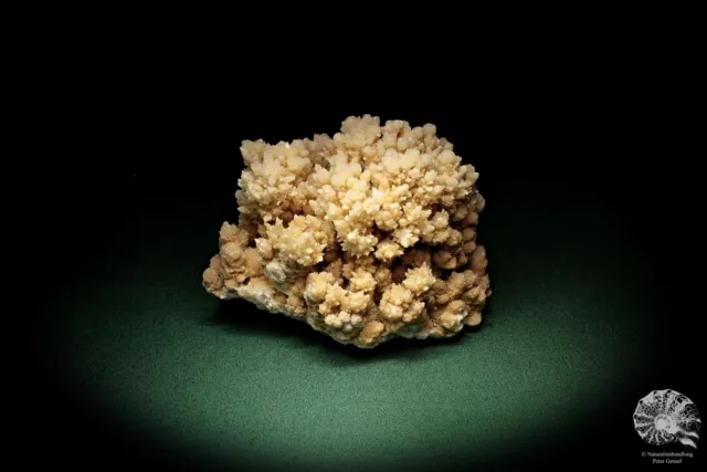 Aragonit Marokko Stufe Mineral Sammlung Kristall Deko deco