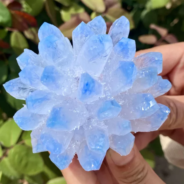 292G New Find sky blue Phantom Quartz Crystal Cluster Mineral Specimen Healing
