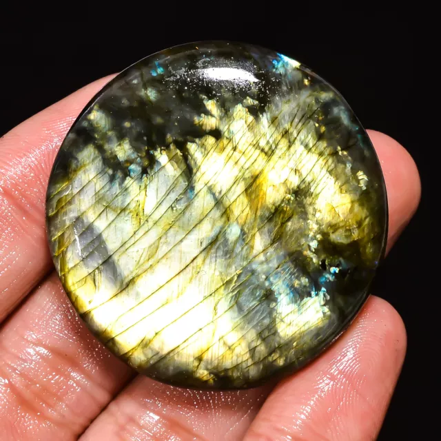 123.50 Cts Natural Play Of Multi Color Labradorite Round Shape Cabochon Gemstone