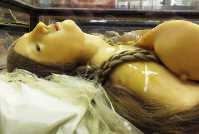 Antique Medical Anatomical Doll Photo 197b Odd Strange & Bizarre 2