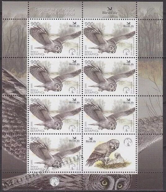 Belarus 2005. Fauna. Bird of the Year - Great Gray Owl. MI 582. MNH