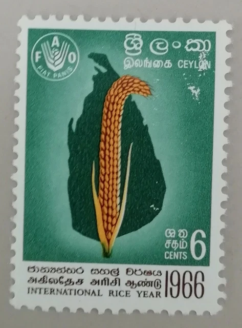 Timbre Stamp Ceylon Ceylan Anne Internationel Du Riz 1966 International Rice Yea