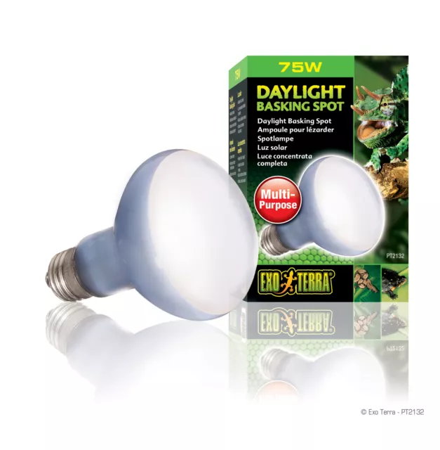 Exo Terra Daylight Basking Spot mit UVA - Watt: 75w - E27 Gewinde