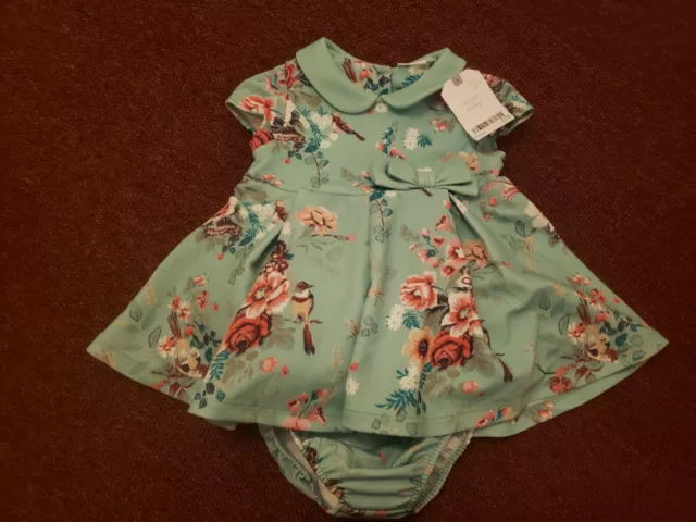 Bnwt NEXT 6-9 Months Girls Beautiful Dress Green Flower Matching Knickers