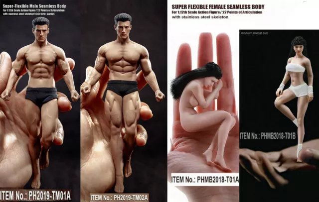 6PHICEN SUPER Flexible Seamless Male &Female Body W/Head 1/12 TBLeague  Figure $45.99 - PicClick