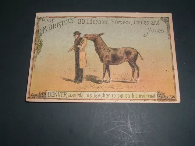 Vintage original Dr. D.M. Bristol's 30 educated horses show Victorian trade card