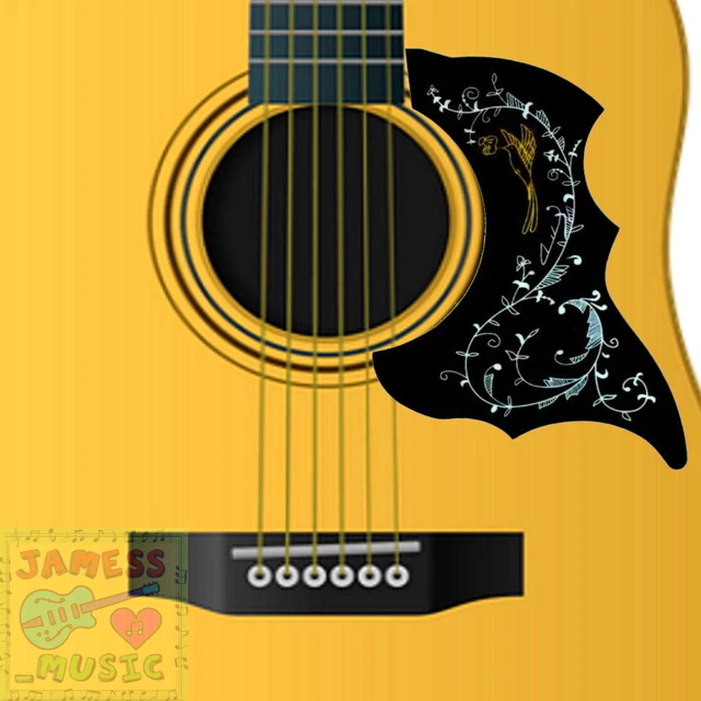 SCRATCH PLATE PICK Guard Acoustic Guitar Black White GOLD Floral