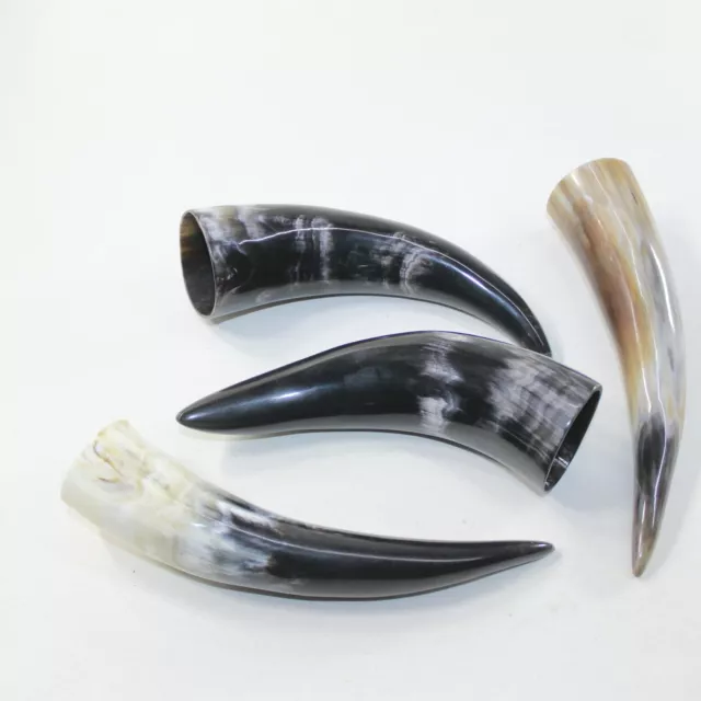 4 Small Polished Cow Horns #5424 Natural colored