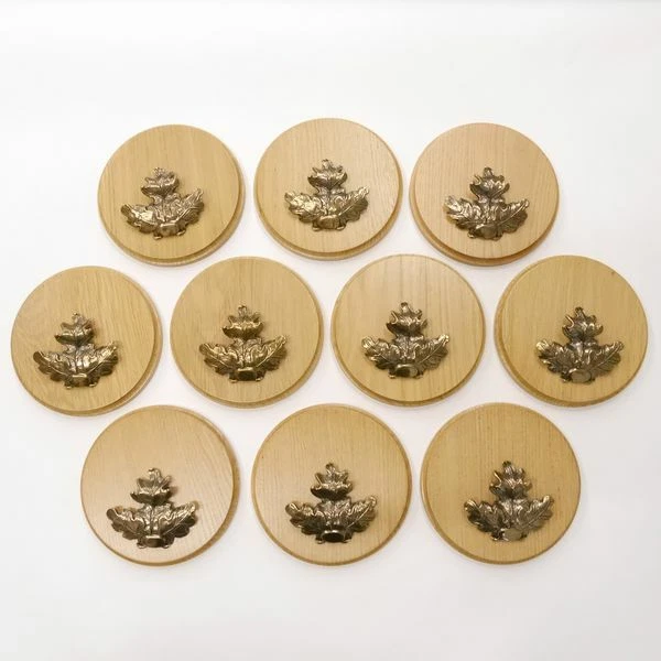10 Pieza Keilerschilder Redondo Roble Claro Af 15 CM Tablero Keiler Gewaffbrett