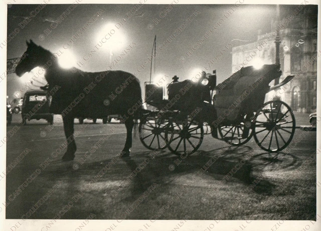 1959 TRIESTE Piazza Unità d'Italia Carrozza con cavallo Fotografia