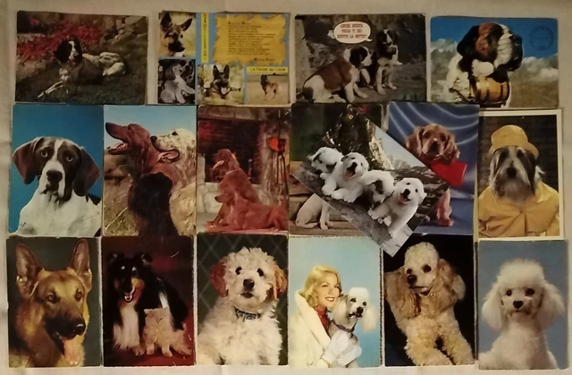LOTTO CARTOLINE ANIMALI CANI e GATTI 17 pz. ILLUSTRATE a COLORI VIAGGIATE