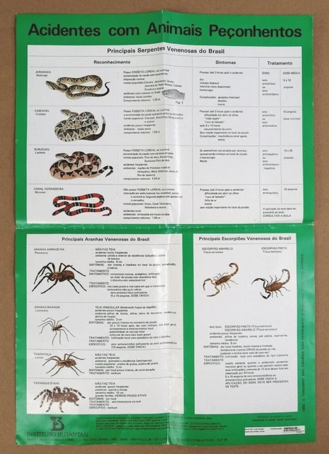 Manifesto Animali Velenosi - Istituto Butantan - Brazil - Anni 70