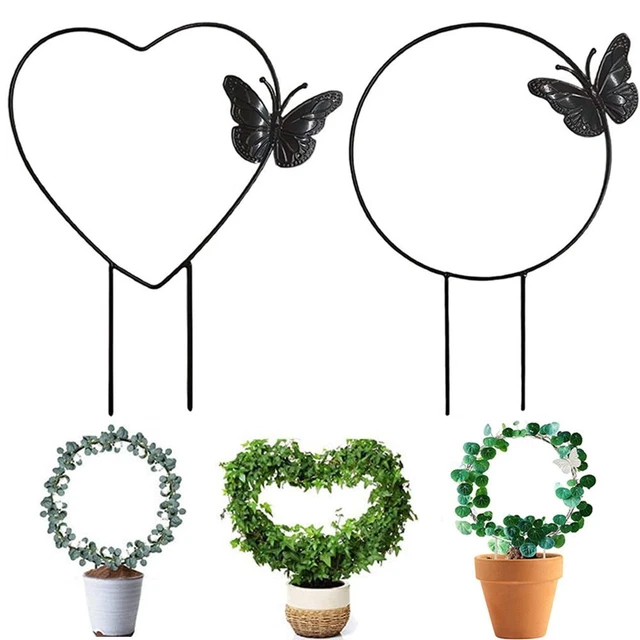 Fleur Cadre d'escalade Support pour plantes Tige de fixation Support d'escalade