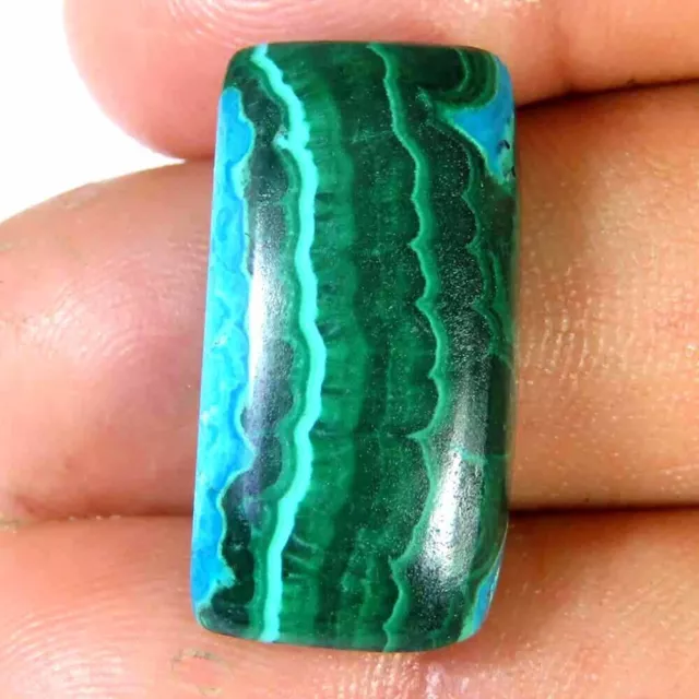 27.90Cts. 100%Natural Malachite Chrysocolla Cushion Cab 12x24x6mm Loose Gemstone