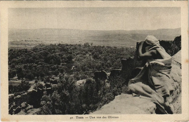 CPA AK TAZA une vue des Oliviers MAROC (23601)
