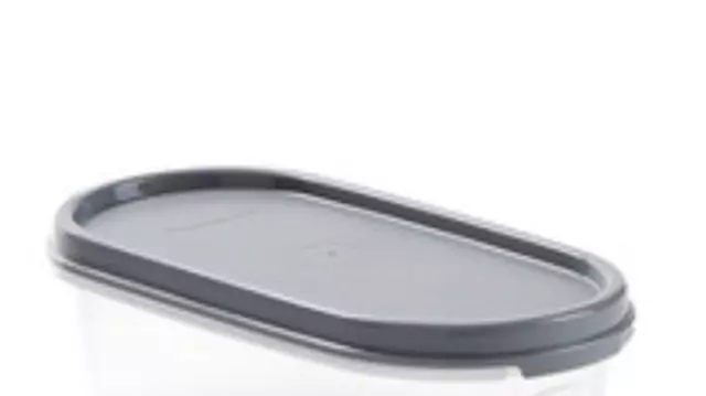 https://www.picclickimg.com/A-IAAOSwr91icYQx/Tupperware-Modular-Mates-Oval-seal-Greystone-Replacement-Silver.webp