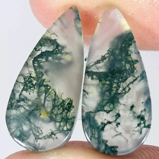 12.40Cts Natural Green Moss Agate Pear Pair Cabochon Loose Gemstone