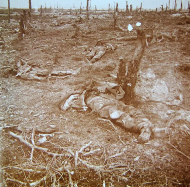 Chemin Des Dames-Cadavres-Plaque Verre-Vue Stereo-Guerre-14/18-Stereoscopique