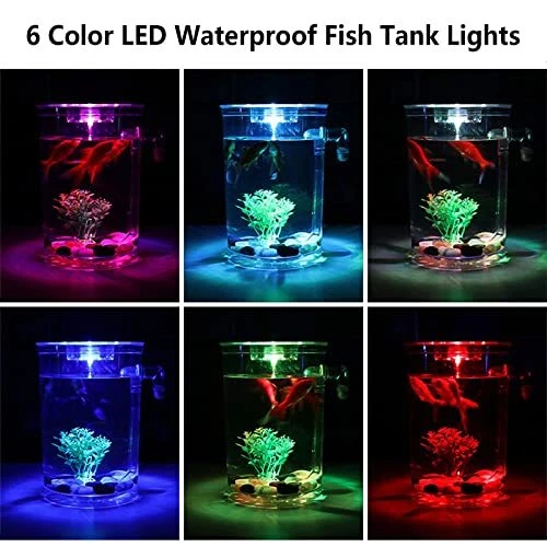 Betta Fish Tank, 360 Aquarium with LED Light, 1 Gallon Fish Bowl, Small Fish 3