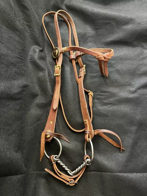Draft Harness Leather headstall with bit, brass hardware, bronze rosettes