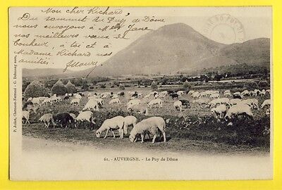 cpa Cachet CLERMONT FERRAND en 1903 FRANCE Auvergne 63 - Le PUY de DÔME Moutons