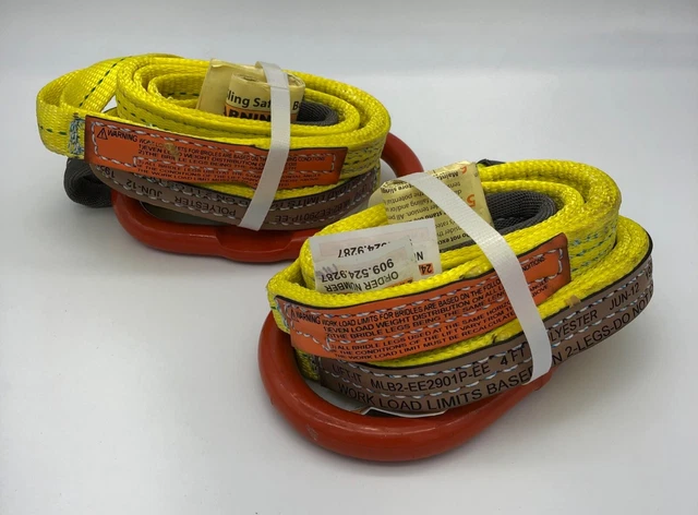 QTY 2  Lift-it 1" X 4' Double Leg Polyester Bridle Sling 2 Ply w/ Web Eyes NEW