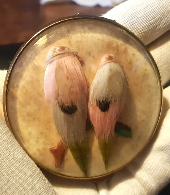 Ancien Poudrier Miref Couple D'oiseaux En Plumes Sous Dôme En Verre Art Deco