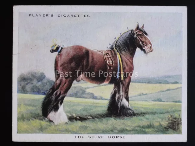 No.3 THE SHIRE HORSE - Types of Horses L25 by John Player & Sons 1939