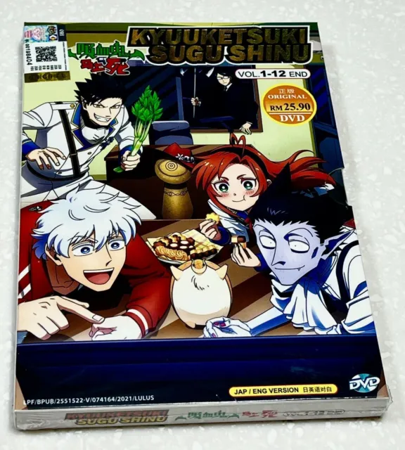 English dubbed of Kinsou No Vermeil:Gakeppuchi Majutsushi (1-12End) Anime  DVD