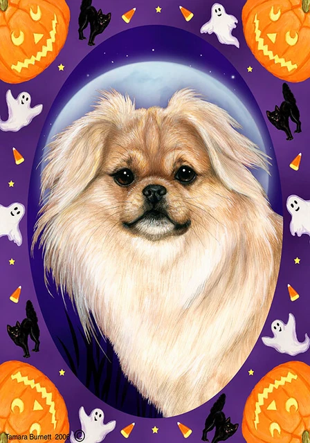 Halloween Garden Flag - Cream Sable Tibetan Spaniel 124751
