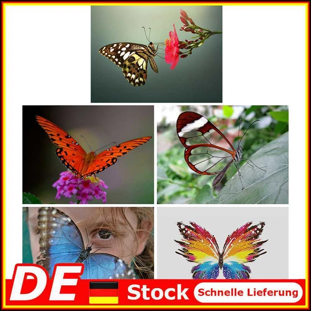 Diamant-Malerei-Set, Tier-Serie, rund, Kunstharz, abstraktes Gemälde (WY004)