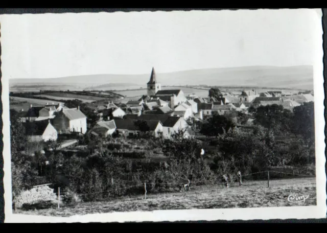 SEMELAY (58) ANE en PATURAGE animé , VILLAS & EGLISE vers 1950