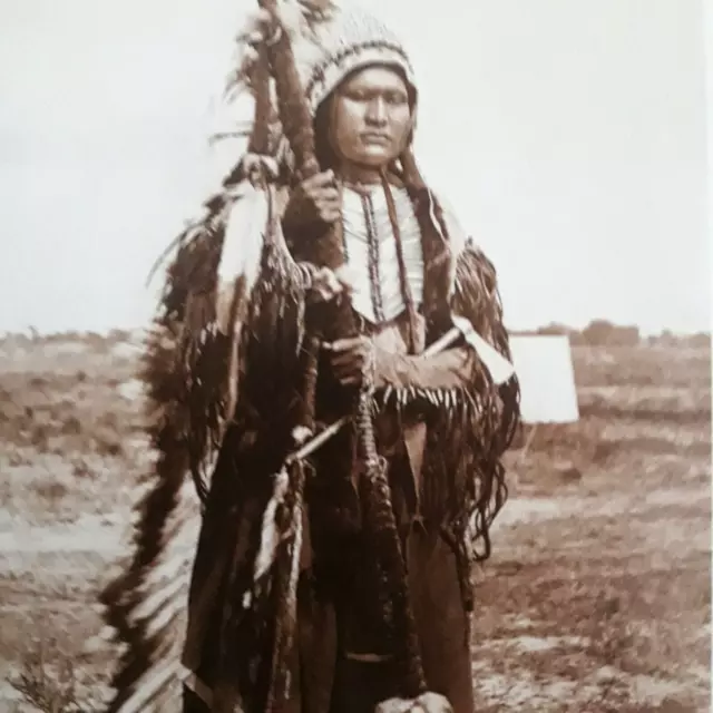 Postcard Native American Arapahoe War Chief Powder Face Size 6" x 4 1/4" Arapaho