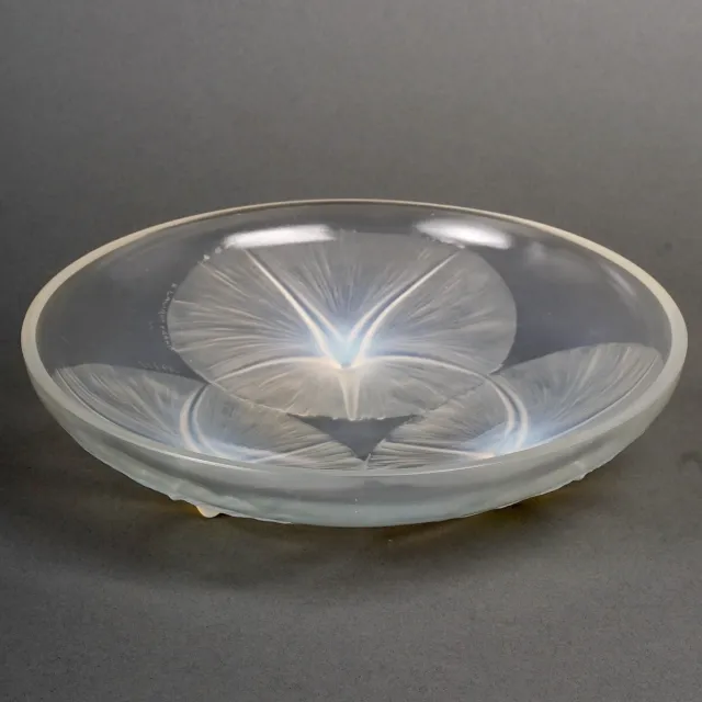 Coupe Volubilis Verre Opalescent René Lalique R.Lalique Glass Bowl Dish