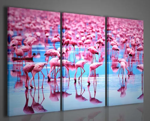 Quadri Moderni Flamingos Quadro Moderno Arredo Casa Ufficio Arredamento Moderno