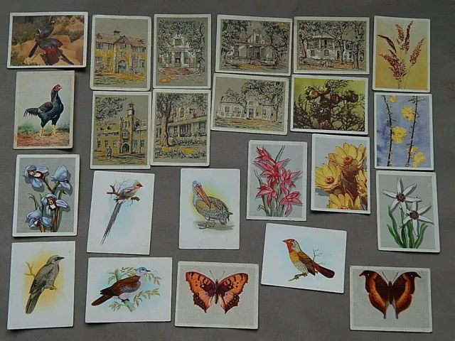 23 VARIOUS SOUTH AFRICA VINTAGE CIGARETTE CARDS by UNITED TOBACCO COMPANIES