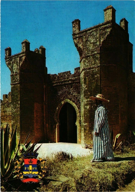 CPM AK MAROC Murailles du Chellah a RABAT (343183)