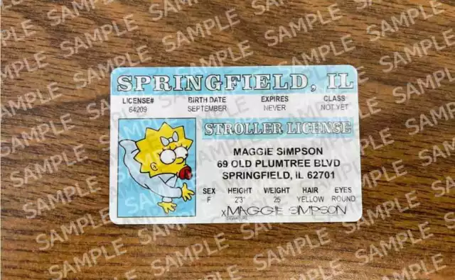 The SIMPSONS Homer Simpson Marge Bart Lisa Maggie Fun Novelty Drivers License 3