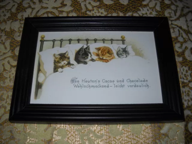 4 KITTENS IN BED 4 X 6 black WOOD frame animal picture Victorian style print