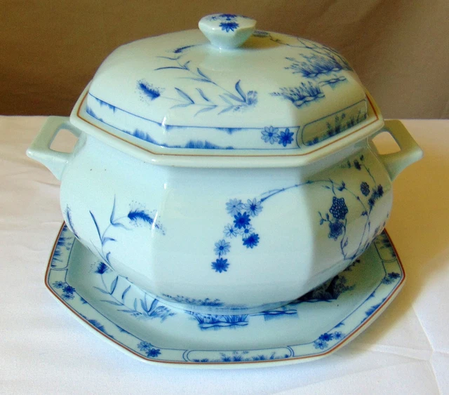 SOUPIERE ET SON Dormant Porcelaine Celadon Haviland Limoges Jardin Bleu