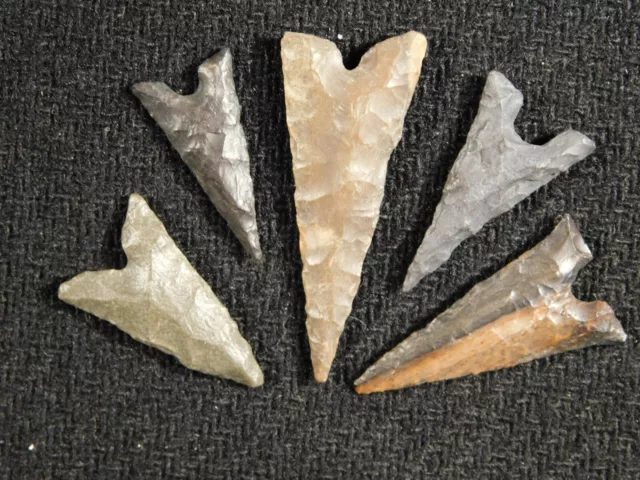 Lot of FIVE! Ancient BOTTOM Notch Tidikelt Arrowheads 9.90