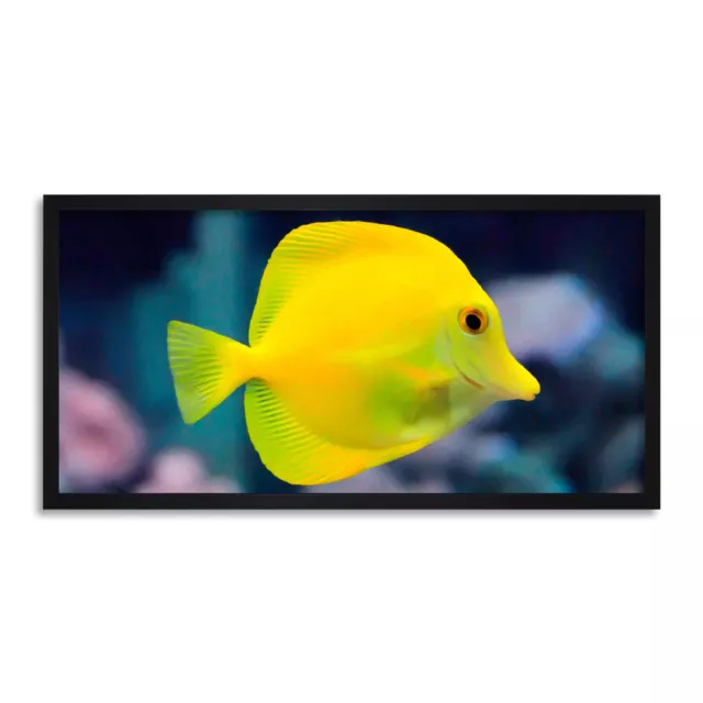 Yellow Tang Tropical Fish Long Panel Framed Wall Art Print 12x25 Inch