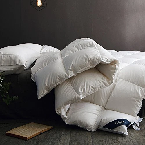 Fusion Goose Down Comforter Queen Size, Heavy Weight for Queen-winter White
