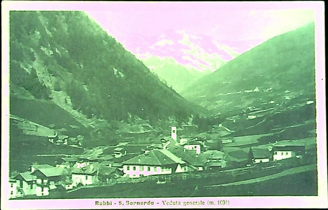 Cartolina Rabbi - San Bernardo - Trento - Veduta Generale Fp