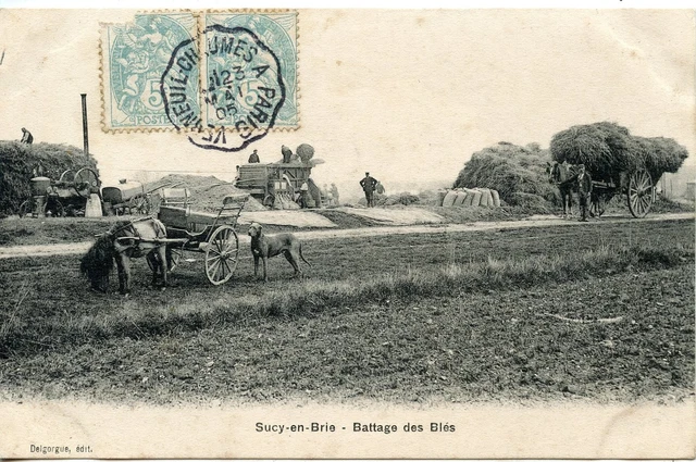 Postcard / Postcard / Sucy En Brie Batage Des Bles